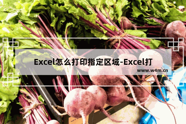 Excel怎么打印指定区域-Excel打印指定区域的方法