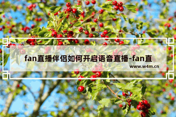 fan直播伴侣如何开启语音直播-fan直播伴侣开启语音直播的方法