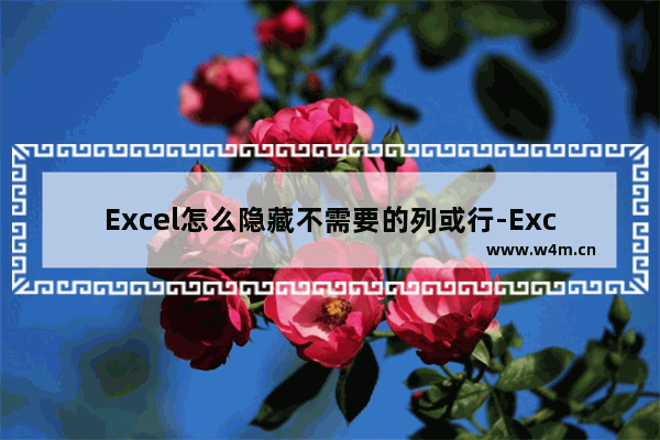 Excel怎么隐藏不需要的列或行-Excel隐藏不需要的列或行的方法