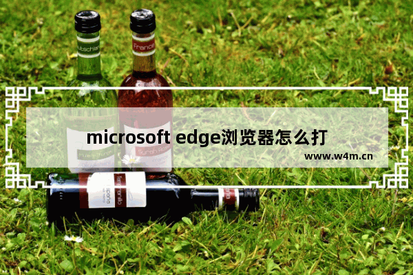 microsoft edge浏览器怎么打开edge栏-Edge浏览器打开Edge栏的方法