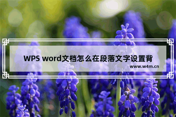 WPS word文档怎么在段落文字设置背景颜色-WPS word文档给段落文字设置背景颜色的方法