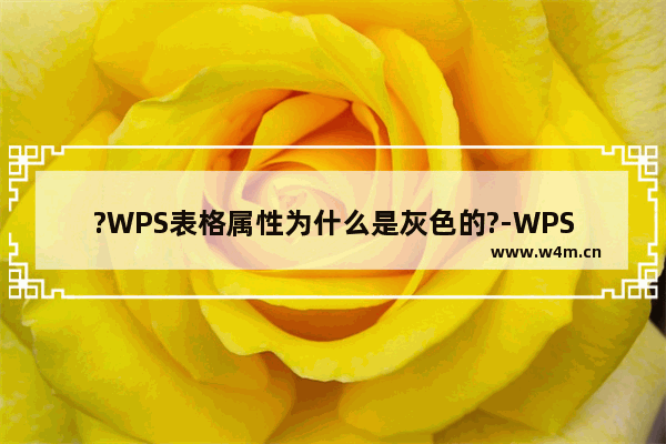 ?WPS表格属性为什么是灰色的?-WPS表格电脑版解决表格属性是灰色无法使用的方法教程