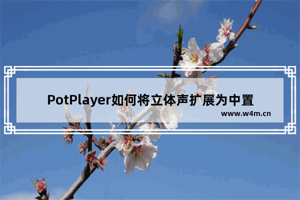 PotPlayer如何将立体声扩展为中置-PotPlayer将立体声扩展为中置的方法教程