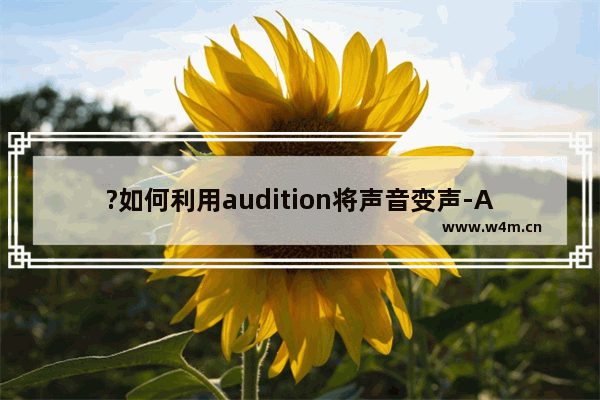 ?如何利用audition将声音变声-Audition将声音变声的方法教程