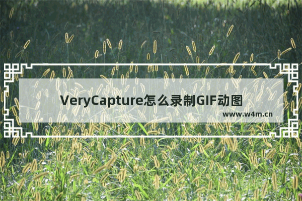 VeryCapture怎么录制GIF动图-VeryCapture录制GIF动图的方法教程