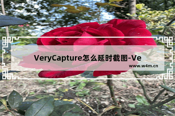 VeryCapture怎么延时截图-VeryCapture延时截图的使用方法