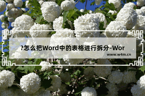 ?怎么把Word中的表格进行拆分-Word中对表格进行拆分的方法教程