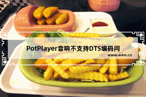 PotPlayer音响不支持DTS编码问题怎么办-PotPlayer解决音响不支持DTS编码问题的方法