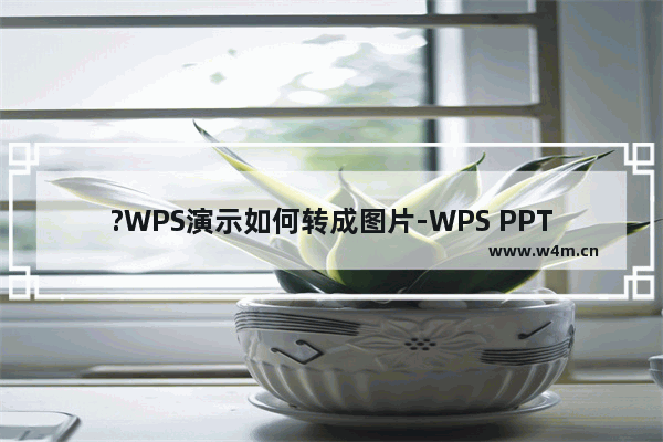 ?WPS演示如何转成图片-WPS PPT电脑版转成图片的方法教程