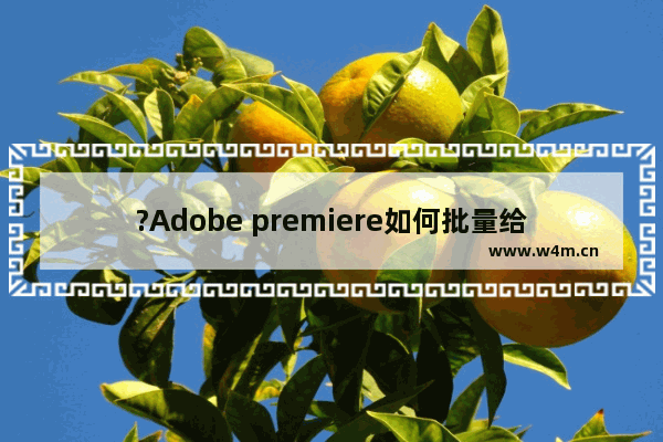 ?Adobe premiere如何批量给视频调色?-PR批量给视频调色的方法教程