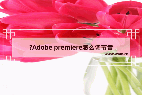 ?Adobe premiere怎么调节音量?-PR调节音量的方法教程