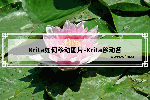 Krita如何移动图片-Krita移动各种图层的方法