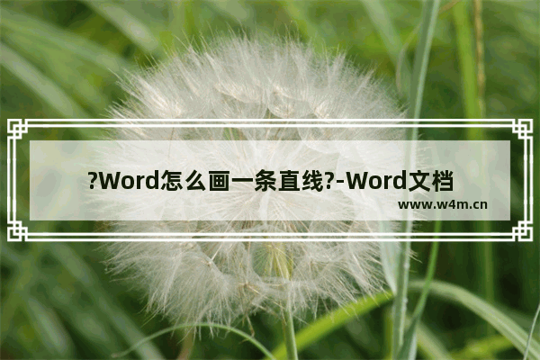 ?Word怎么画一条直线?-Word文档画一条直线的方法教程