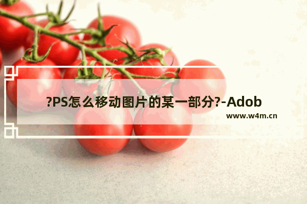 ?PS怎么移动图片的某一部分?-Adobe Photoshop移动图片某一部分的方法教程