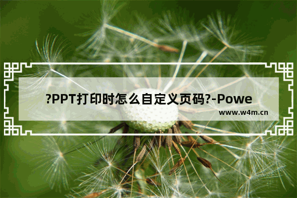 ?PPT打印时怎么自定义页码?-PowerPoint演示文稿打印时自定义页码的方法教程