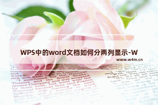 WPS中的word文档如何分两列显示-WPS word文档分两栏显示的设置方法