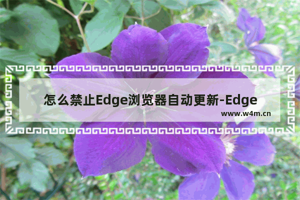 怎么禁止Edge浏览器自动更新-Edge浏览器关闭自动更新的方法