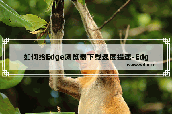 如何给Edge浏览器下载速度提速-Edge浏览器提升下载速度的方法