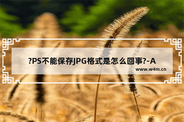 ?PS不能保存JPG格式是怎么回事?-Adobe Photoshop解决不能保存jpg格式的方法教程