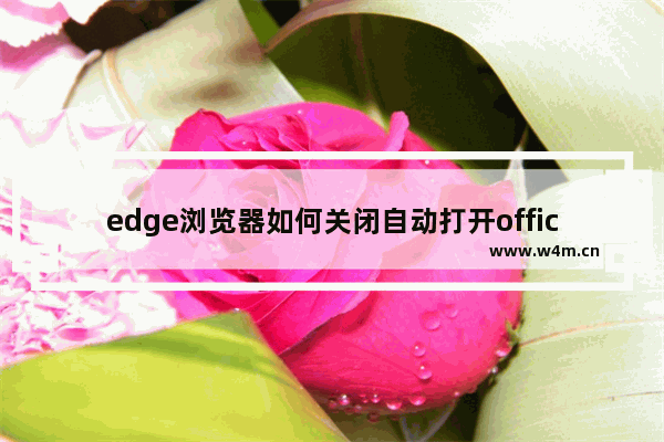 edge浏览器如何关闭自动打开office文件功能-edge浏览器关闭自动打开office文件功能的方法