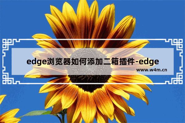 edge浏览器如何添加二箱插件-edge浏览器添加二箱插件的方法