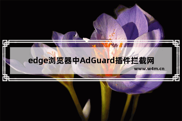 edge浏览器中AdGuard插件拦截网站怎么办-edge浏览器中AdGuard插件拦截网站的解决方法