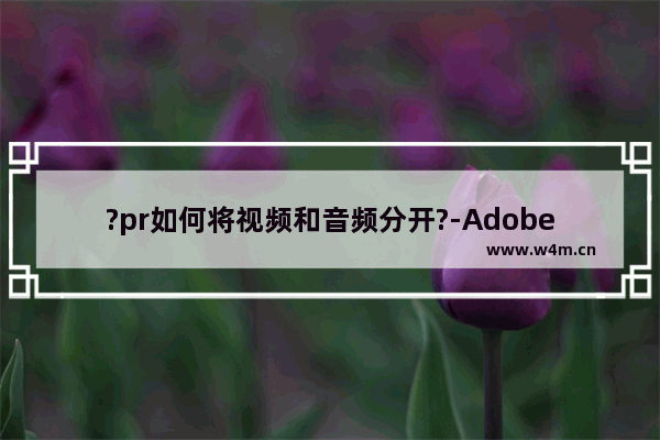 ?pr如何将视频和音频分开?-Adobe premiere将视频和音频分开的方法教程