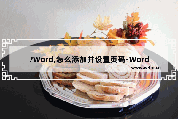 ?Word,怎么添加并设置页码-Word文档添加并设置页码的方法教程