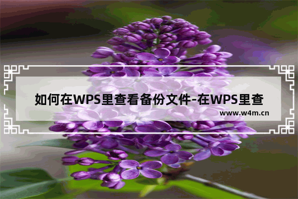 如何在WPS里查看备份文件-在WPS里查看备份文件的方法