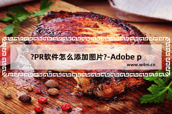 ?PR软件怎么添加图片?-Adobe premiere添加图片作为视频的方法教程