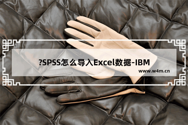 ?SPSS怎么导入Excel数据-IBM SPSS statistics导入Excel数据的方法教程