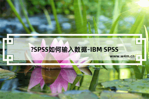 ?SPSS如何输入数据-IBM SPSS statistics输入数据的方法教程