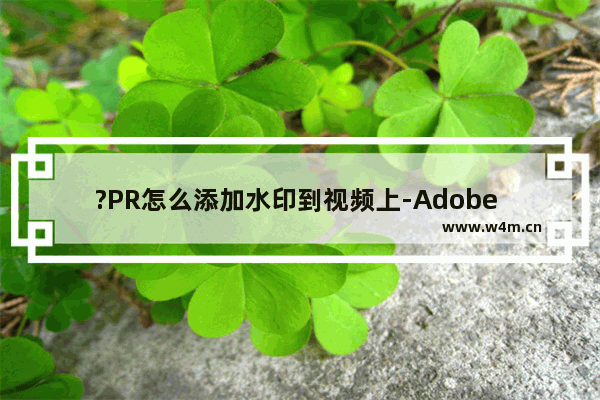 ?PR怎么添加水印到视频上-Adobe premiere在视频上添加图片水印的方法教程