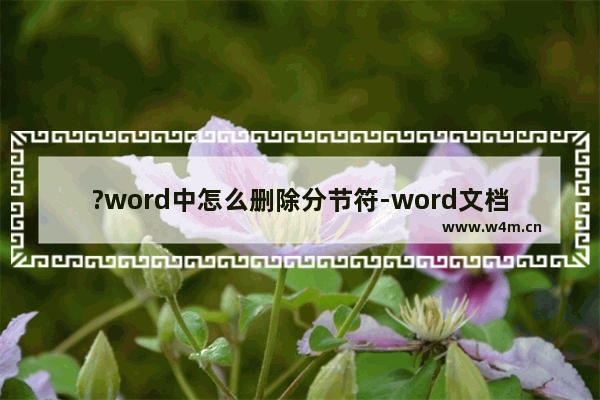 ?word中怎么删除分节符-word文档中删除分节符的方法教程