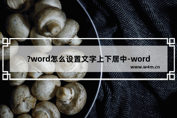 ?word怎么设置文字上下居中-word文档设置文字上下居中的方法教程