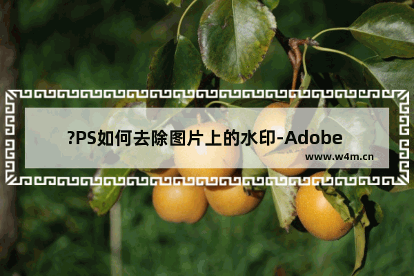 ?PS如何去除图片上的水印-Adobe Photoshop去除图片水印的方法教程