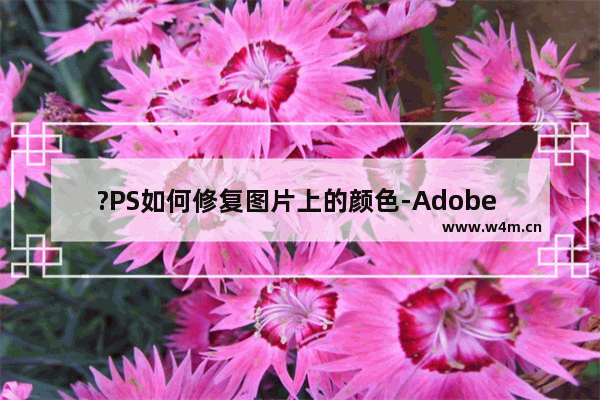 ?PS如何修复图片上的颜色-Adobe Photoshop修复图片颜色的方法教程