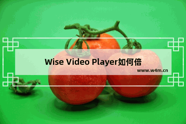 Wise Video Player如何倍速播放视频?-Wise Video Player倍速播放视频的方法