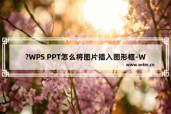 ?WPS PPT怎么将图片插入图形框-WPS演示电脑版图片插入图形框的方法教程