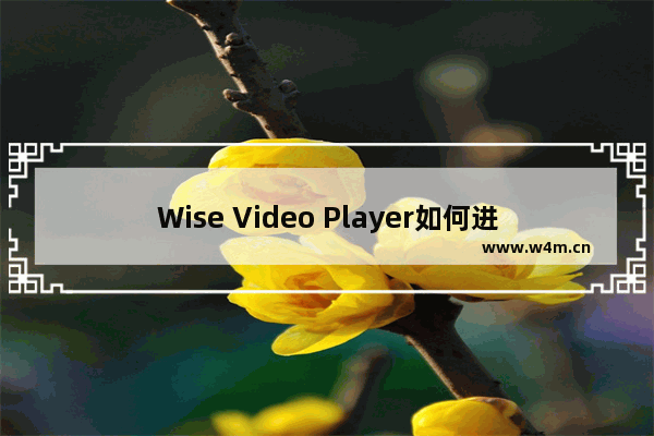 Wise Video Player如何进行图像调节?-Wise Video Player进行图像调节的方法