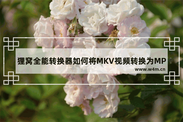 狸窝全能转换器如何将MKV视频转换为MP4-狸窝全能转换器将MKV视频转换为MP4的方法