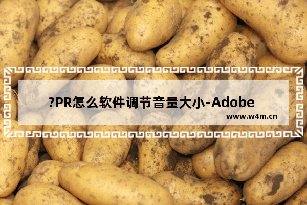 ?PR怎么软件调节音量大小-Adobe Photoshop调音量的方法教程