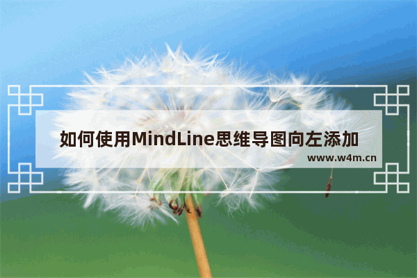 如何使用MindLine思维导图向左添加分支主题-MindLine思维导图向左添加分支主题的方法