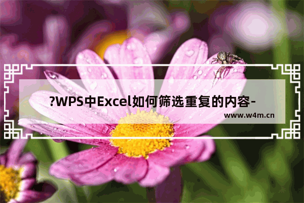 ?WPS中Excel如何筛选重复的内容-WPS表格电脑版筛选重复数据的方法教程