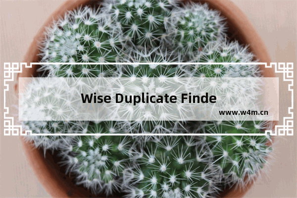 Wise Duplicate Finder软件注册破解教程(附注册机)-Wise Duplicate Finder如何快速清理重复文件