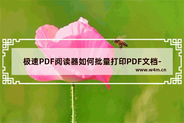 极速PDF阅读器如何批量打印PDF文档-极速PDF阅读器设置批量打印PDF文档的方法