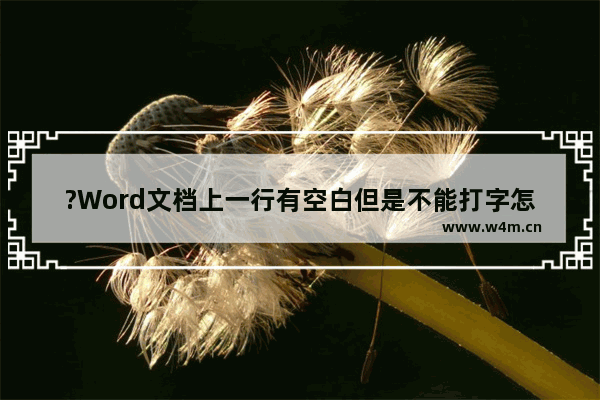 ?Word文档上一行有空白但是不能打字怎么办-Word文档解决有空白但是无法打字的方法教程