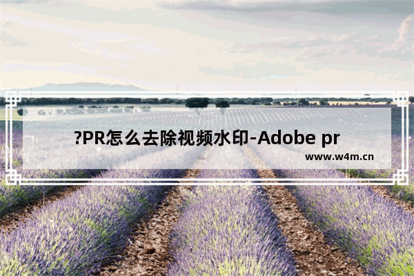 ?PR怎么去除视频水印-Adobe premiere去除视频水印的方法教程