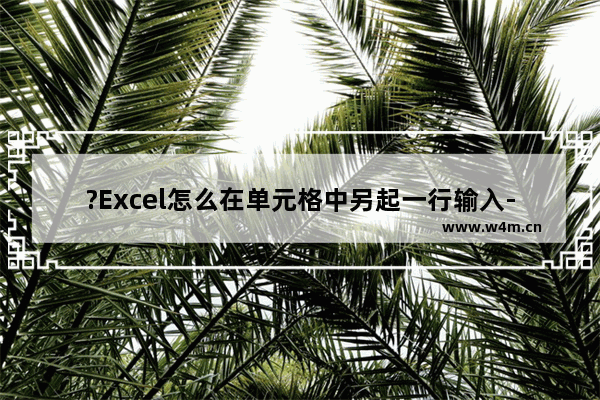 ?Excel怎么在单元格中另起一行输入-Excel表格在同一个单元格中换行的方法教程