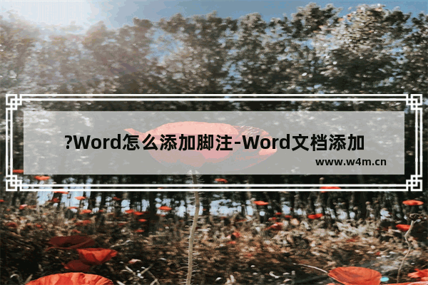 ?Word怎么添加脚注-Word文档添加脚注的方法教程